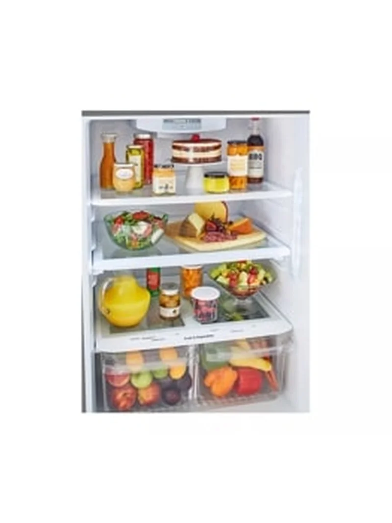 LG LTCS20020S - Top Freezer Refrigerator