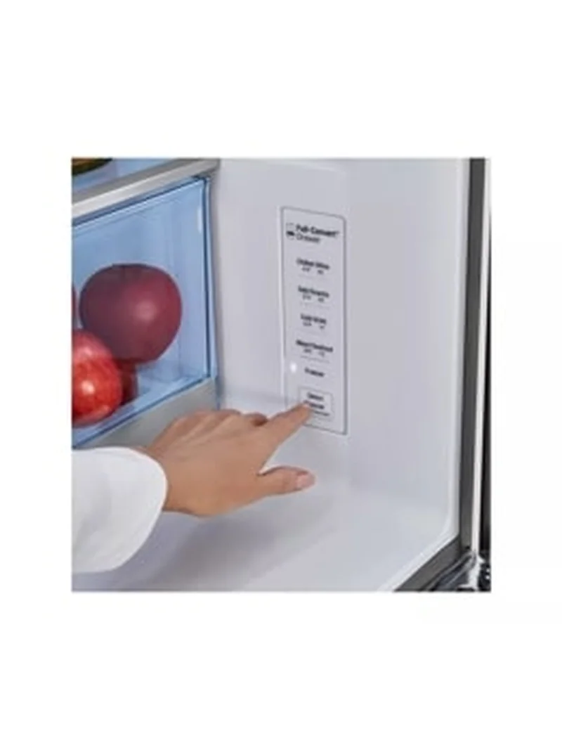 LG LRMDS3006S - French Door Refrigerator