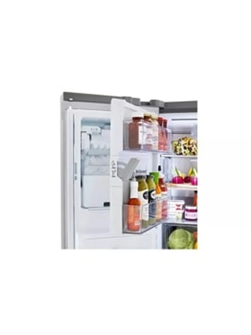 LG LRMXS3006S - French Door Refrigerator